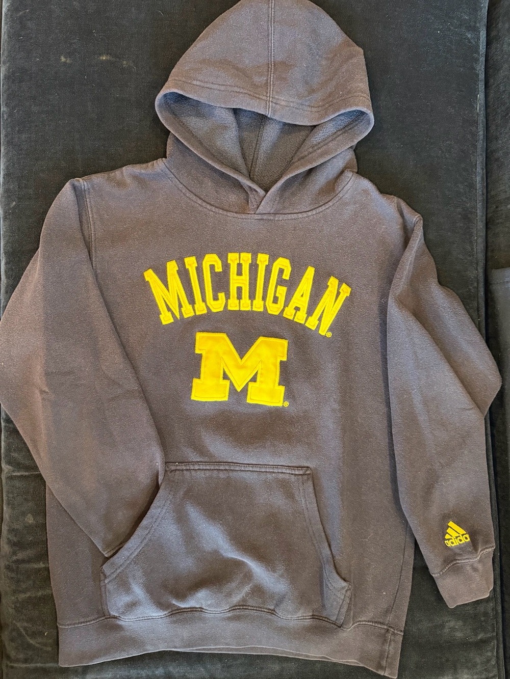 University of Michigan Wolverines youth hoodie (hooded sweatshirt)